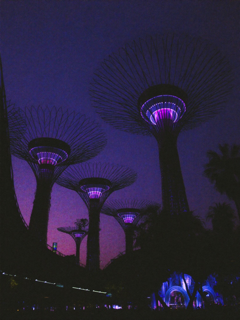 The lit Supertrees of Gardens by the Bay at dusk