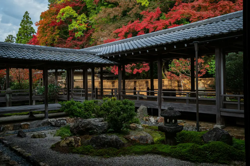A Kyoto temple garden under red autumn maples